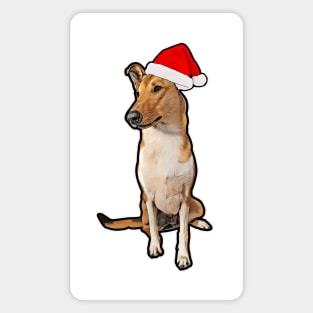 Smooth Collie Christmas Magnet